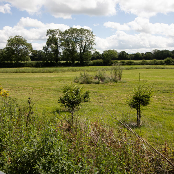 Hedgerow Cottage, Withybrook