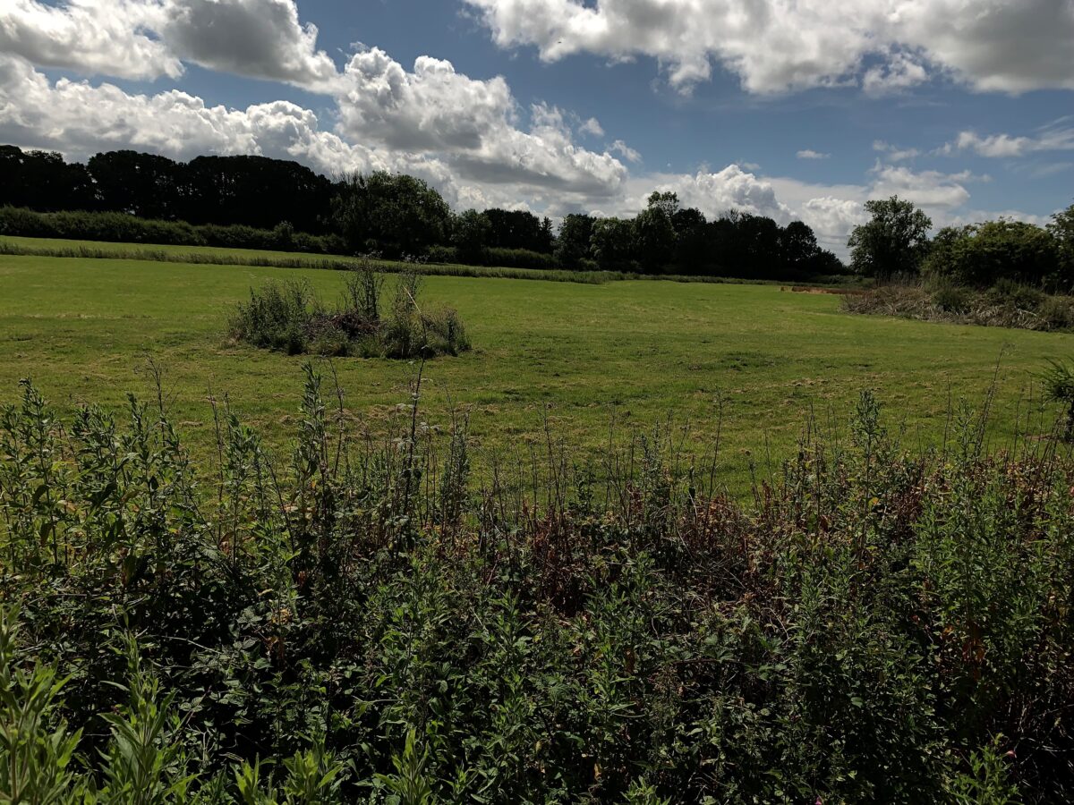 Hedgerow Cottage, Withybrook