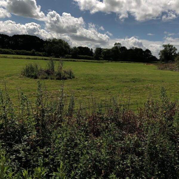 Hedgerow Cottage, Withybrook